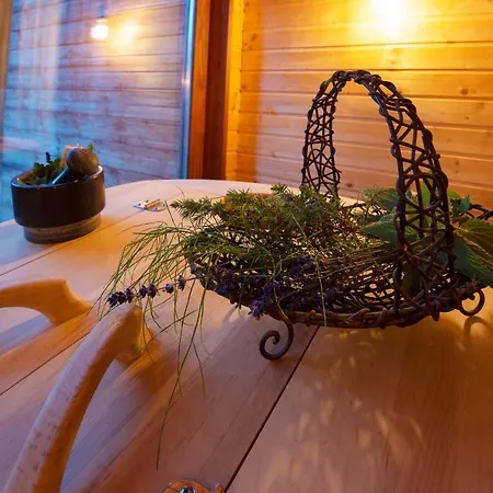 Pinusvillas Private Jacuzzi & Phyto-Sauna 펜션 Zheleznitsa