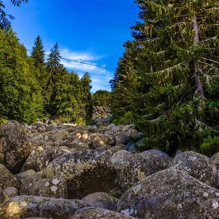 Pinusvillas Private Jacuzzi & Phyto-sauna *