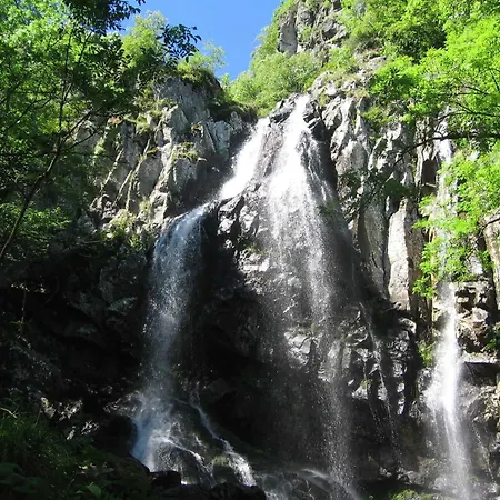 Pinusvillas Private Jacuzzi & Phyto-Sauna 펜션