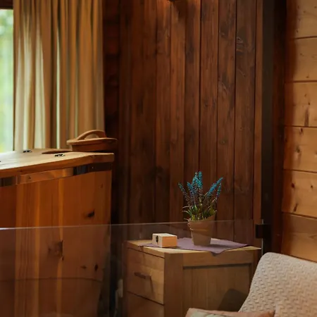 Pinusvillas Private Jacuzzi & Phyto-sauna Hébergement de vacances *
