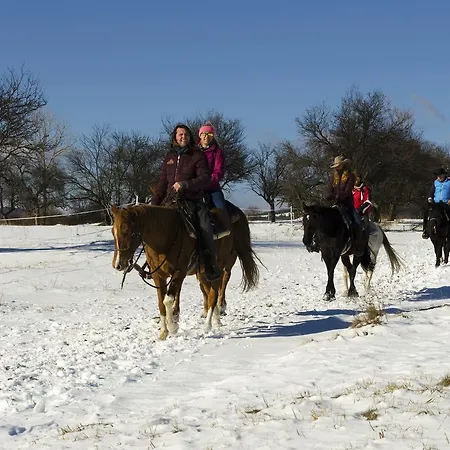 Pinusvillas Private Jacuzzi & Phyto-Sauna *