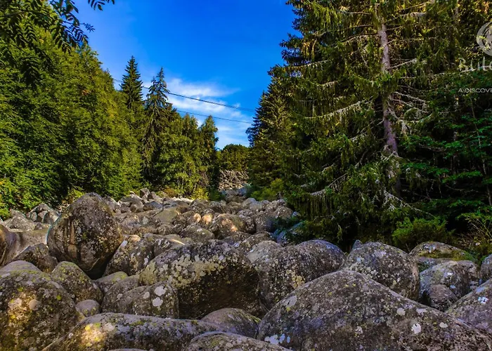 Pinusvillas Private Jacuzzi & Phyto-sauna *