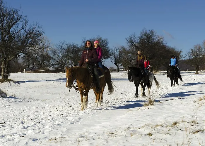 Pinusvillas Private Jacuzzi & Phyto-sauna *